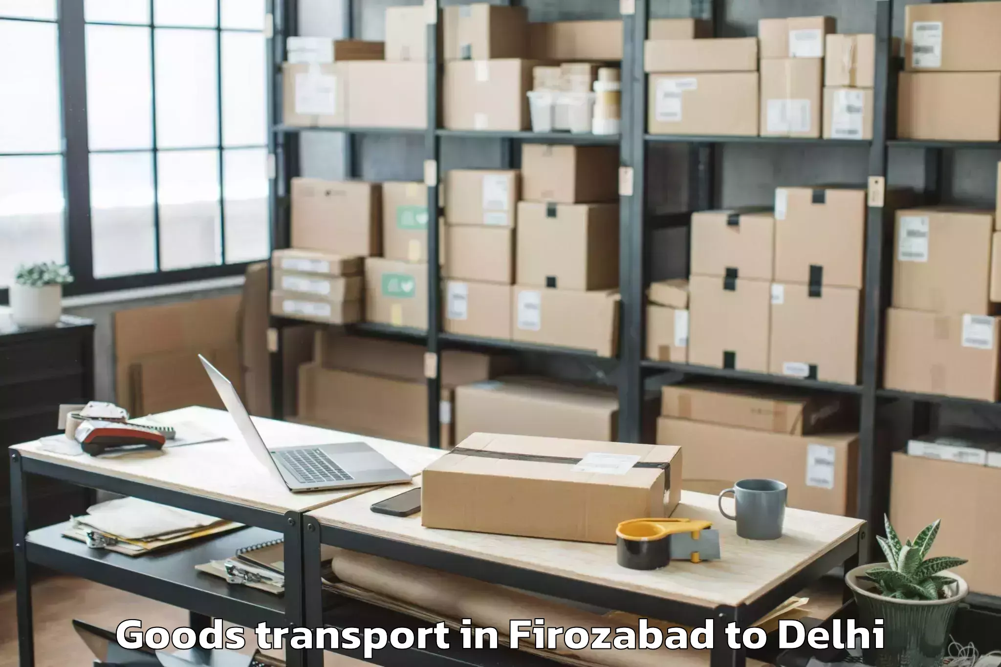 Book Firozabad to Ansal Plaza Mall Delhi Goods Transport